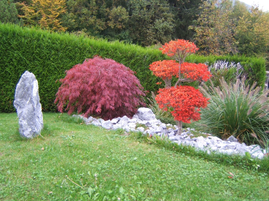 couleur d'automne Enkianthus campanulatus