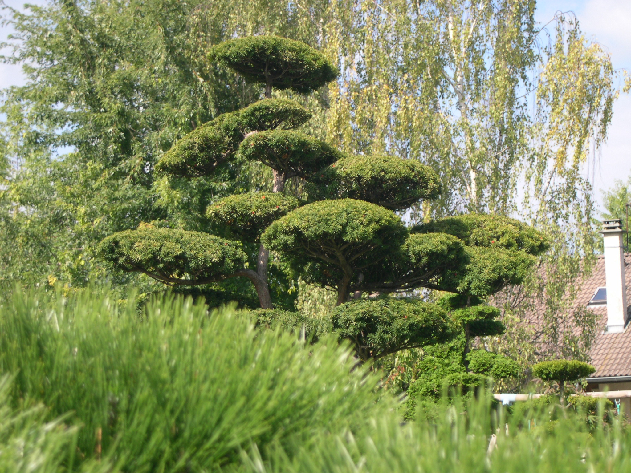 Jardin particulier à Sevrier