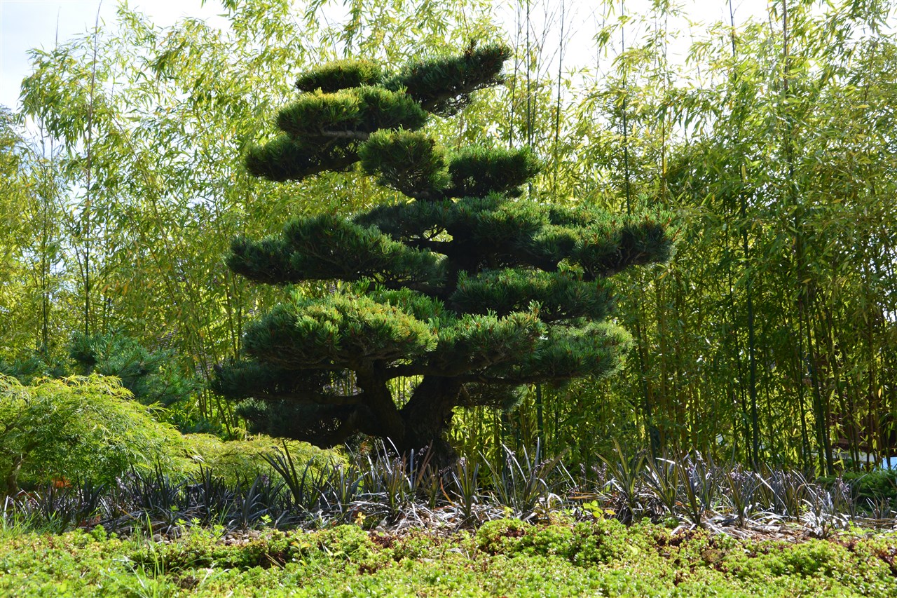 Jardin Menthon Saint Bernard