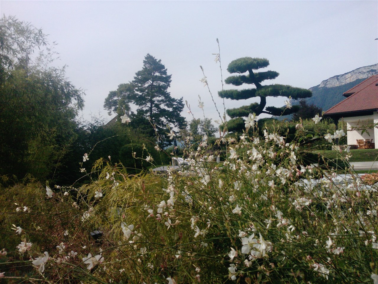 Jardin Menthon Saint Bernard