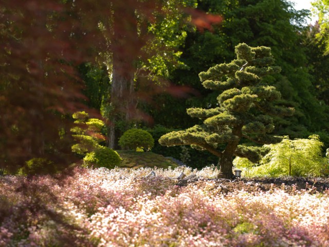 Jardin Menthon saint Bernard